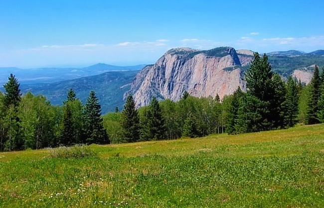 A view of the Brazos looking west overlooking wildflower meadow