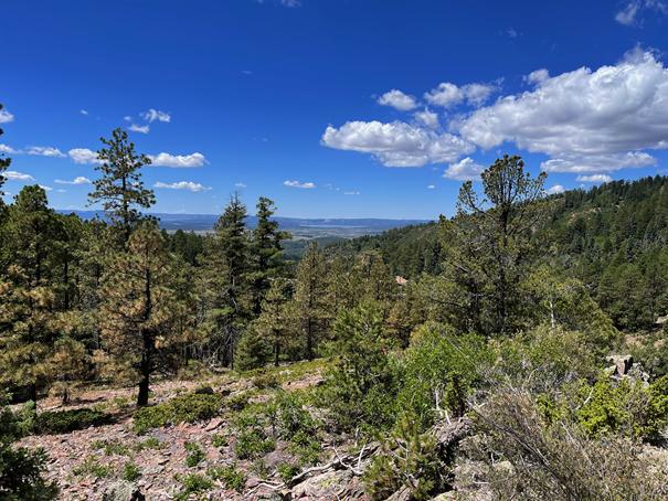 A view west from Inspiration Point Ticonderoga the Brazos